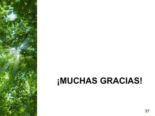  Manejo del Bosque Natural y Restauración en Nicaragua