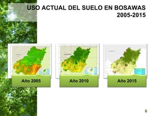  Manejo del Bosque Natural y Restauración en Nicaragua