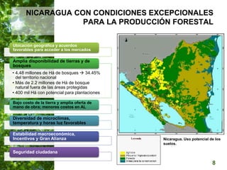  Manejo del Bosque Natural y Restauración en Nicaragua
