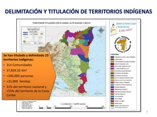  Manejo del Bosque Natural y Restauración en Nicaragua