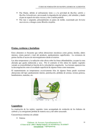 CURSO DE FORMACIÓN DE MANIPULADORES DE ALIMENTOS
Gabinete de Asesores Agroalimentarios S.L
C/ Gran vía 62 –28013- Madrid Teléfono: 91-5475459/ Fax: 91-5470477
www.geasl.org / info@geasl.org
18
• Pan filante, debido al enfriamiento lento y a la actividad de Bacillus subtilis y
Bacillus licheniformis, provocando la degradación del gluten y del almidón y dando
al pan un aspecto de masa viscosa y olor a melón podrido.
• Pan rojo o sangrante, principalmente en panes de molde, ocasionado por Serratia
marcencens, u hongos como Monilia sitophila.
Frutas, verduras y hortalizas
Estos alimentos es frecuente que sufran alteraciones mecánicas como grietas, heridas, daños
internos, rotura parcial o total del producto, pardeamientos superficiales. La existencia de
grietas facilita el acceso de microorganismos desde el exterior.
Las altas temperaturas y la radiación solar afecta sobre las frutas ablandándolas, excepto la zona
afectada que queda endurecida y seca. Por el contrario el frío altera los tejidos vegetales
variado su extensibilidad en función de la velocidad de congelación. Las lesiones aparecen tras
la descongelación como el escaldado superficial de algunas frutas como manzanas.
El mantenimiento en temperaturas excesivamente frías de algunas frutas puede ocasionar
alteraciones del tipo: pardeamiento interno, putrefacción, pérdidas de aromas, textura gomosa,
hundimientos, manchas, etc.
Legumbres
La respiración de los tejidos vegetales viene acompañada de oxidación de los hidratos de
carbono y la consiguiente pérdida de materia seca y del sabor azucarado.
Características mínimas de calidad:
• Enteras
 