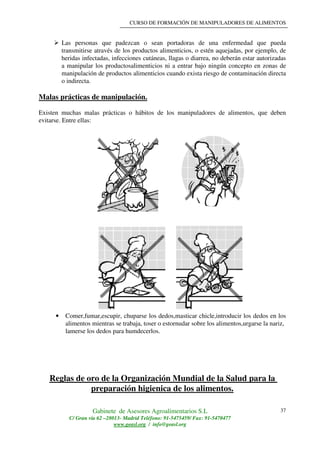 CURSO DE FORMACIÓN DE MANIPULADORES DE ALIMENTOS
Gabinete de Asesores Agroalimentarios S.L
C/ Gran vía 62 –28013- Madrid Teléfono: 91-5475459/ Fax: 91-5470477
www.geasl.org / info@geasl.org
37
Las personas que padezcan o sean portadoras de una enfermedad que pueda
transmitirse através de los productos alimenticios, o estén aquejadas, por ejemplo, de
heridas infectadas, infecciones cutáneas, llagas o diarrea, no deberán estar autorizadas
a manipular los productosalimenticios ni a entrar bajo ningún concepto en zonas de
manipulación de productos alimenticios cuando exista riesgo de contaminación directa
o indirecta.
Malas prácticas de manipulación.
Existen muchas malas prácticas o hábitos de los manipuladores de alimentos, que deben
evitarse. Entre ellas:
• Comer,fumar,escupir, chuparse los dedos,masticar chicle,introducir los dedos en los
alimentos mientras se trabaja, toser o estornudar sobre los alimentos,urgarse la nariz,
lamerse los dedos para humdecerlos.
Reglas de oro de la Organización Mundial de la Salud para la
preparación higienica de los alimentos.
 