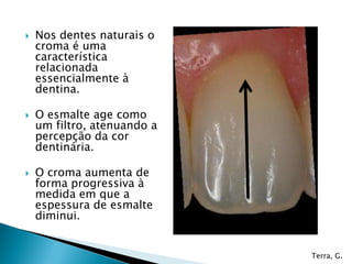  Nos dentes naturais o
croma é uma
característica
relacionada
essencialmente à
dentina.
 O esmalte age como
um filtro, atenuando a
percepção da cor
dentinária.
 O croma aumenta de
forma progressiva à
medida em que a
espessura de esmalte
diminui.
Terra, G.
 
