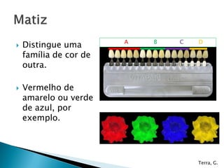 A   B   C   D
   Distingue uma
    família de cor de
    outra.

   Vermelho de
    amarelo ou verde
    de azul, por
    exemplo.




                                    Terra, G.
 