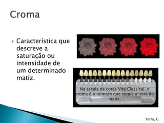    Característica que
    descreve a
    saturação ou
    intensidade de
    um determinado
    matiz.
                           Na escala de cores Vita Classical, o
                         croma é o número que segue a letra do
                                         matiz.



                                                          Terra, G.
 