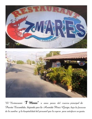 El Restaurante     “7 Mares” a unos pasos del crucero principal de
Puerto Escondido, bajando por la Avenida Pérez Gasga, bajo la frescura
de la sombra y la hospitalidad del personal que lo espera para satisfacer su gusto.
 