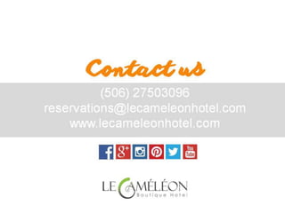 Restaurants in Puerto Viejo, Costa Rica