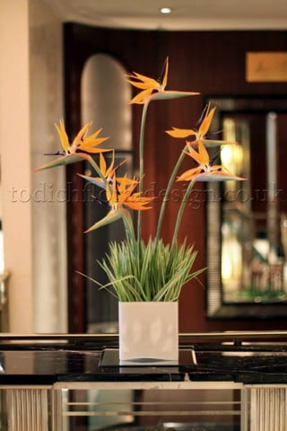Restaurant Flowers :: London, UK