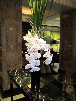 Restaurant Flowers :: London, UK