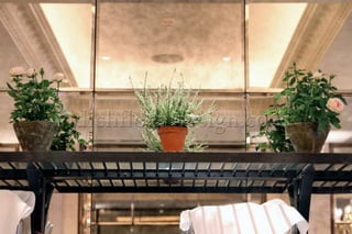 Restaurant Flowers :: London, UK