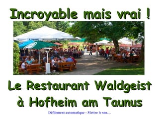 Incroyable mais vrai ! Le Restaurant Waldgeist à Hofheim am Taunus Défilement automatique - Mettre le son… 