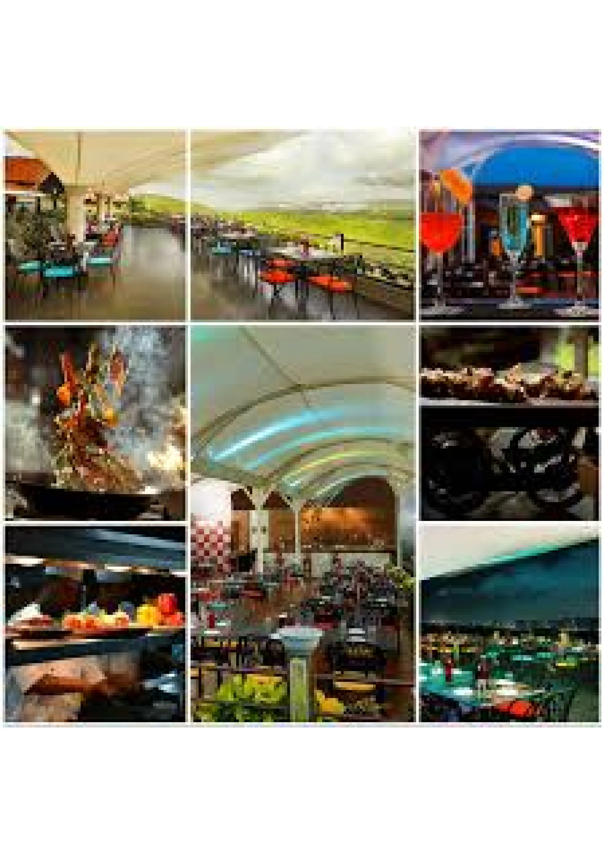 Culinary Delights: Exploring the Best Restaurants in Pune | PDF | Free 