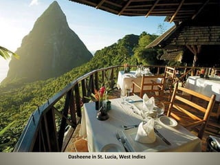 Dasheene in St. Lucia, West Indies 
 