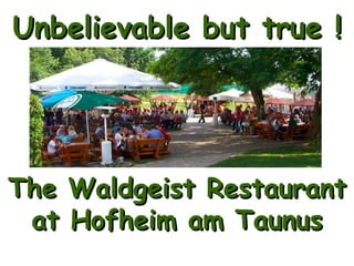 Unbelievable but true ! The Waldgeist Restaurant  at Hofheim am Taunus 