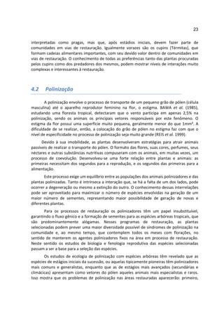 23

interpretadas como pragas, mas que, após estádios iniciais, devem fazer parte de
comunidades em vias de restauração. Igualmente vorazes são os cupins (Térmitas), que
formam cadeias alimentares importantes, com seu devido valor dentro de comunidades em
vias de restauração. O conhecimento de todas as preferências tanto das plantas procuradas
pelos cupins como dos predadores dos mesmos, podem mostrar níveis de interações muito
complexas e interessantes à restauração.



4.2    Polinização

        A polinização envolve o processo de transporte de um pequeno grão de pólen (célula
masculina) até o aparelho reprodutor feminino na flor, o estigma. BAWA et al. (1985),
estudando uma floresta tropical, detectaram que o vento participa em apenas 2,5% na
polinização, sendo os animais os principais vetores responsáveis por este fenômeno. O
estigma da flor possui uma superfície muito pequena, geralmente menor do que 1mm². A
dificuldade de se realizar, então, a colocação do grão de pólen no estigma faz com que o
nível de especificidade no processo de polinização seja muito grande (REIS et al. 1999).
      Devido à sua imobilidade, as plantas desenvolveram estratégias para atrair animais
passíveis de realizar o transporte do pólen. O formato das flores, suas cores, perfumes, seus
néctares e outras substâncias nutritivas compuseram com os animais, em muitas vezes, um
processo de coevolução. Desenvolveu-se uma forte relação entre plantas e animais: as
primeiras necessitam dos segundos para a reprodução, e os segundos das primeiras para a
alimentação.
       Este processo exige um equilíbrio entre as populações dos animais polinizadores e das
plantas polinizadas. Tanto é intrínseca a interação que, se há a falta de um dos lados, pode
ocorrer a degeneração ou mesmo a extinção do outro. O conhecimento dessas interrelações
pode ser aproveitado para maximizar o número de espécies envolvidas na geração de um
maior número de sementes, representando maior possibilidade de geração de novas e
diferentes plantas.
       Para os processos de restauração os polinizadores têm um papel insubstituível,
garantindo o fluxo gênico e a formação de sementes para as espécies arbóreas tropicais, que
são predominantemente alógamas. Nesses programas de restauração, as plantas
selecionadas podem prever uma maior diversidade possível de síndromes de polinização na
comunidade e, ao mesmo tempo, que contemplem todos os meses com florações, no
sentido de manterem os agentes polinizadores fixos na área em processo de restauração.
Neste sentido os estudos de biologia e fenologia reprodutiva das espécies selecionadas
passam a ser a base para a seleção das espécies.
       Os estudos de ecologia de polinização com espécies arbóreas têm revelado que as
espécies de estágios iniciais da sucessão, ou aquelas tipicamente pioneiras têm polinizadores
mais comuns e generalistas, enquanto que as de estágios mais avançados (secundárias e
climácicas) apresentam como vetores do pólen aqueles animais mais especialistas e raros.
Isso mostra que os problemas de polinização nas áreas restauradas aparecerão: primeiro,
 