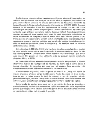 43

    Em locais onde existam espécies invasoras como Pinus sp. algumas árvores podem ser
aneladas para que morram e permaneçam em pé com a função de poleiros seco. Poleiros de
pinus anelado foram utilizados na Unidade Demonstrativa de Restauração Ambiental do
Parque Florestal do Rio Vermelho-Florianópolis-SC proposta por BECHARA (2003). O parque
Florestal do Rio Vermelho é uma área originalmente de restinga com cerca de 750ha
invadidos por Pinus spp. Durante a implantação da Unidade Demonstrativa de Restauração
Ambiental surgiu a idéia de aproveitar o material disponível no local. Avaliações preliminares
apontam as áreas sob estes poleiros como locais de maior intensidade e diversidade de
chuva de sementes em comparação com as demais áreas desta unidade (VIEIRA, 2003).
Outras espécies arbóreas invasoras também podem ser utilizadas como poleiros secos, mas é
necessário promover a morte do indivíduo para que ele não continue invadindo áreas. Em
casos de espécies que brotam, como o Eucalyptus sp. por exemplo, deve ser feito um
controle manual do rebrote.
    Outra iniciativa de BECHARA (2003) foi a instalação de cabos aéreos ligando os poleiros
de pinus anelado aumentando a área de deposição de sementes devido ao pouso de aves
sob o cabo (Figura 8-3). Os cabos aéreos imitam a rede de fiação elétrica sob a qual muitas
aves pousam. Eles podem ser feitos utilizando corda ou qualquer material semelhante
disponível (REIS et al. 2003).
    As cercas com mourões também formam poleiros artificiais em pastagens. É comum
observarmos núcleos de vegetação sob os mourões, ou mesmo sob o arame, devido à
intensa deposição de sementes por aves que ali pousam. Para aproveitar este
comportamento das aves, pode-se imitar uma cerca em áreas abertas.
    O enleiramento de galharia, técnica sugerida por REIS et al. (2003) para aporte de
matéria orgânica e oferta de abrigo, também exerce função de poleiro em áreas abertas.
Para as aves as leiras servem de local de repouso e caça de pequenos animais,
principalmente cupins, larvas de coleópteros e outros insetos que colonizam a madeira. Por
outro lado, estas leiras oferecem abrigo para pequenos mamíferos (roedores) e répteis.
    Outra função de poleiros secos pode ser o incremento da chuva de sementes e,
conseqüentemente, do banco de sementes de regiões com vegetação inicial, erguendo-se
poleiros que ultrapassem os arbustos e arvoretas para a atração de aves trazendo sementes
de fragmentos em estágio mais avançado de sucessão.
 