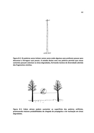 44




Figura 8-2. Os poleiros secos imitam ramos secos onde algumas aves preferem pousar para
descansar e forragear suas presas. A estadia destas aves nos poleiros permite que novas
sementes possam colonizar as áreas degradadas, formando núcleos de diversidade advinda
dos fragmentos vizinhos.




Figura 8-3. Cabos aéreos podem aumentar as superfícies dos poleiros artificiais,
promovendo maiores probabilidades de chegada de propágulos e de nucleação em áreas
degradadas.
 