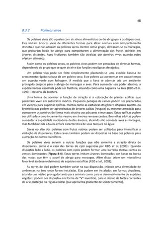 45


8.3.2         Poleiros vivos

    Os poleiros vivos são aqueles com atrativos alimentícios ou de abrigo para os dispersores.
Eles imitam árvores vivas de diferentes formas para atrair animais com comportamento
distinto e que não utilizam os poleiros secos. Dentro desse grupo, destacam-se os morcegos,
que procuram locais de abrigo para completarem a alimentação dos frutos colhidos em
árvores distantes. Aves frutívoras também são atraídas por poleiros vivos quando estes
ofertam alimento.
   Assim como os poleiros secos, os poleiros vivos podem ser pensados de diversas formas,
dependendo do grupo que se quer atrair e das funções ecológicas desejadas.
    Um poleiro vivo pode ser feito simplesmente plantando-se uma espécie lianosa de
crescimento rápido na base de um poleiro seco. Este poleiro vai apresentar em pouco tempo
um aspecto verde com folhagem. À medida que a liana se adensar cria um ambiente
protegido propício para o abrigo de morcegos e aves. Para aumentar seu poder atrativo, a
espécie lianosa escolhida pode ser frutífera, atuando como uma bagueira na área (REIS et al.
1999) – Reserva da Biosfera.
    Uma forma de acelerar a função de atração é a colocação de plantas epífitas que
permitam viver em substratos mortos. Pequenos pedaços de ramos podem ser preparados
em viveiros para suportar epífitas. Plantas como as cactáceas do gênero Rhipsalis Gaertn. ou
bromeliáceas podem ser aproveitadas de árvores caídas (resgate) ou mesmo semeadas para
comporem os poleiros de forma mais atrativa aos pássaros e morcegos. Estas epífitas podem
ser utilizadas como incremento mesmo em árvores remanescentes. Bromélias adultas podem
aumentar a capacidade nucleadora destas árvores, atraindo não somente aves e morcegos,
mas também toda a fauna e flora característica de seus tanques de água.
     Cevas no alto dos poleiros com frutos nativos podem ser utilizadas para intensificar a
visitação de dispersores. Estas cevas também podem ser dispostas na base dos poleiros para
a atração de outros mamíferos.
    Os poleiros vivos servem a outras funções que não somente a atração direta de
dispersores, como é o caso das torres de cipó sugeridas por REIS et al. (2003). Quando
dispostos lado a lado, os poleiros com cipós podem formar uma barreira efetiva contra os
ventos dominantes (Figura 8-4). Estas torres imitam árvores dominadas por lianas na borda
das matas que têm o papel de abrigo para morcegos. Além disso, criam um microclima
favorável ao desenvolvimento de espécies esciófitas (REIS et al., 2003).
    As torres de cipó podem também variar na sua disposição, criando uma diversidade de
ambientes na área onde forem instaladas. Elas podem ser instaladas em formas circulares,
criando um núcleo protegido tanto para animais como para o desenvolvimento de espécies
vegetais; podem ser dispostas em forma de “V” invertido, para o desvio de fortes correntes
de ar e proteção da região central (que apresenta gradiente de sombreamento).
 