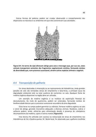 46

    Outras formas de poleiros podem ser criadas observando o comportamento dos
dispersores na natureza e os ambientes em que eles concentram suas atividades.




Figura 8-4. As torres de cipó oferecem abrigo para aves e morcegos que, por sua vez, estes
animais transportam sementes dos fragmentos vegetacionais vizinhos, formando núcleos
de diversidade que, num processo sucessional, atraem outras espécies animais e vegetais.




8.4 Transposição de galharia

       Em áreas destinadas à mineração ou ao represamento de hidrelétricas, onde grandes
porções de solo são removidas (áreas de empréstimo e bota-fora), a principal causa da
degradação ambiental está na total ausência de nutrientes no solo. Qualquer fonte de
matéria orgânica disponível na região deve ser utilizada.
       Um exemplo de matéria orgânica é os resíduos da exploração florestal do
desmatamento. Ao invés de queimá-los, podem ser enleirados, formando núcleos de
biodiversidade básicos para o processo sucessional secundário da área degradada.
       Estas leiras no campo podem germinar ou rebrotar, fornecer matéria orgânica ao solo
e servir de abrigo, gerando microclima adequado a diversos animais. Roedores, cobras e
avifauna podem, ainda, utilizá-las para alimentação devido à presença de coleópteros
decompositores da madeira, cupins e outros insetos (Figura 8-5).
       Esta técnica foi utilizada com sucesso na restauração de áreas de empréstimo nas
Hidrelétricas de Itá e Quebra-queixo, SC. Neste local, foi observado que a galharia recolhida
 