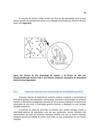 48

       O conjunto de núcleos criados através das ilhas de alta diversidade torna-se mais
efetivo quando seu planejamento previr uma produção diversificada de alimentos durante
todo o ano (Figura 8-6).




Figura 8-5: Centros de alta diversidade de espécies e de formas de vida com
floração/frutificação durante todo o ano formam ambientes nucleadores de diversidade
dentro de áreas degradadas.




8.5.1        Coleta de sementes com manutenção da variabilidade genética

        Processos naturais de dispersão de sementes tendem a propiciar a manutenção da
diversidade genética das populações colonizadoras, tornando a disseminação um processo
aleatório e dificilmente privilegiando sementes de um ou poucos indivíduos no processo de
colonização de uma área. A diversidade genética favorece a adaptação às mais variadas
situações ambientais.
        O processo de coleta de sementes, no entanto, nem sempre consegue manter a
diversidade genética de populações, uma vez que, geralmente, poucos indivíduos são
representados nos lotes de sementes coletados, fazendo com que os viveiros florestais
produzam grande quantidade de mudas meio-irmãs, ou seja, provenientes de um mesmo
indivíduo.
 
