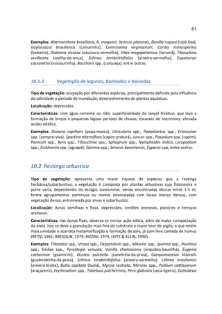 61

Exemplos: Alternanthera brasiliana, A. moquinii, Senecio platensis, Davilla rugosa (cipó-lixa),
Gaylussacia brasiliensis (camarinha), Centrosema virginianum, Cordia monosperma
(baleeira), Dodonea viscosa (vassoura-vermelha), Vitex megapotamica (tarumã), Tibouchina
urvilleana (orelha-de-onça), Schinus terebinthifolius (aroeira-vermelha), Eupatoriun
cassarettoi (vassourinha), Baccharis spp. (carqueja), entre outras.



10.1.3        Vegetação de lagunas, banhados e baixadas

Tipo de vegetação: ocupação por diferentes espécies, principalmente definida pela influência
da salinidade e período de inundação; desenvolvimento de plantas aquáticas.
Localização: depressões.
Características: com água corrente ou não; superficialidade do lençol freático, que leva a
formação de brejos e pequenas lagoas período de chuvas; escassez de nutrientes; elevada
acidez edáfica.
Exemplos: Drosera capillaris (papa-mosca), Utricularia spp., Paepalantus spp., Eriocaulon
spp. (sempre-viva), Spartina alterniflora (capim-praturá), Juncus spp., Paspalum spp. (capim),
Panicum spp., Xyris spp., Tibouchina spp., Sphagnum spp., Nymphoides indica, Lycopodium
spp., Eichhornia spp. (aguapé), Salvinia spp., Senecio bonariensis, Cyperus spp, entre outras.



10.2 Restinga arbustiva

Tipo de vegetação: apresenta uma maior riqueza de espécies que a restinga
herbácea/subarbustiva; a vegetação é composta por plantas arbustivas cuja fisionomia e
porte varia, dependendo do estágio sucessional, sendo encontradas alturas entre 1-5 m;
forma agrupamentos contínuos ou moitas intercaladas com locais menos densos, com
vegetação densa, entremeada por ervas e subarbustos.
Localização: dunas semifixas e fixas, depressões, cordões arenosos, planícies e terraços
arenosos.
Características: nas dunas fixas, observa-se menor ação eólica, além de maior compactação
da areia. Isto se deve a granulação mais fina do substrato e maior teor de argila, o que retém
mais umidade e acarreta metamorfização e formação de solo, já com leve camada de húmus
(REITZ, 1961; BRESOLIN, 1979; RIZZINI, 1979; LEITE & KLEIN, 1990).
Exemplos: Tillandsia spp., Vrisea spp., Oxypetalum spp., Mikania spp., Ipomea spp., Paullinia
spp., Smilax spp., Pyrostegia venusta, Vanilla chamissonis (orquídea-baunilha), Eugenia
catharinae (guamirim), Ocotea pulchella (canelinha-da-praia), Campomanesia littoralis
(guabirobinha-da-praia), Schinus terebinthifolius (aroeira-vermelha), Lithrea brasiliensis
(aroeira-braba), Butia capitata (butiá), Myrcia rostrata, Myrsine spp., Psidium cattleyanum
(araçazeiro), Erythroxilum spp., Tabebuia pulcherrima, Pera glabrata (seca-ligeiro), Gomidesia
 