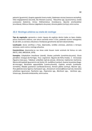 62

palustris (guamirim), Guapira opposita (maria-mole), Dodonaea viscosa (vassoura-vermelha),
Vitex megapotamica (tarumã), Ilex theezans (caúna), Tibouchina spp. (quaresmeira), Cordia
curassavica (baleeira), Cereus hildmannianus (mandacaru), Opuntia arechavaletae
(arumbeva), Hibiscus tiliaceus (algodoeiro-da-praia), Annona glabra (cortiça), entre outras.



10.3 Restinga arbórea ou mata de restinga

Tipo de vegetação: apresenta a maior riqueza de espécies dentre todos os tipos citados;
possui fisionomia arbórea, com altura variando entre 5-15m, podendo ocorrer emergentes
de até 20m; os estratos arbustivos e herbáceos geralmente são bem desenvolvidos.
Localização: dunas semifixas e fixas, depressões, cordões arenosos, planícies e terraços
arenosos, assim como a restinga arbustiva.
Características: desenvolve-se nas áreas onde houver maior acúmulo de húmus no solo
(REITZ, 1961; BRESOLIN, 1979).
Exemplos: Calophyllum brasiliense (olandi), Ocotea pulchella (canelinha-da-praia), Clusia
parviflora (mangue-de-formiga), Ficus organensis (figueira-de-folha-miúda), C. microcarpa
(figueira-mata-pau), Tabebuia umbellata (ipê-da-várzea), Alchornea tniplinervia (tanheiro),
Myrcia dichrophylla (guaramirim-de-facho), M. multiflora (cambuí), Guarea Iessoniana (baga-
de-morcego), Nectandra oppsositifolia (canela-amarela), Cupania vernalis (camboatá-
vermelho), Matyba guianensis (camboatá-branco), Annona glabra (cortiça), Myrsine spp.,
Pera glabrata (seca-ligeiro), Erytroxylum spp., Arecastrum romanzoffianum (jerivá), Geonoma
schottiana (guaricana), Psychotria spp., Peperomia spp., Blechnum spp., Aechmea spp.,
Vriesia spp., Bromelia antiacantha, entre outras.
 