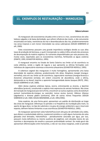 63


   11. EXEMPLOS DE RESTAURAÇÃO – MANGUEZAL


                                                                             Débora Lehmann

       Os manguezais são ecossistemas situados entre a terra e o mar, característicos de solos
lodosos salgados e de baixa declividade, que sofrem influência das marés, e são comumente
encontrados em baías, reentrâncias do mar e desembocaduras dos rios, predominantemente
nas zonas tropicais e com menor intensidade nas zonas subtropicais (SOUZA SOBRINHO et
alli, 1969).
      Estes ecossistemas possuem uma grande importância ecológica devido as suas altas
taxas de produção de biomassa, a qual é incorporada na cadeia trófica através dos processos
de decomposição da matéria orgânica. Os nutrientes disponibilizados por este processo são,
muitas vezes, exportados para os ecossistemas marinhos, fertilizando as águas costeiras
(PANITZ, 1993; SCHAEFFER-NOVELLI, 1995).
      O manguezal encontra no Estado de Santa Catarina seu limite sul de ocorrência na
costa atlântica, sendo a região de Laguna a que apresenta as últimas formações com
indivíduos de Laguncularia racemosa e Avicennia schaueriana (SCHAEFFER-NOVELLI, 1995).
      A cobertura vegetal dos manguezais é muito homogênea, apresentando uma baixa
diversidade de espécies arbóreas, predominando três delas: Rizophora mangle (mangue-
vermelho), esta em seu limite sul de ocorrência, Laguncularia racemosa (mangue-branco) e
Avicennia schaueriana (siríuba), em ordem crescente de abundância, onde a última,
destacando-se no dossel, imprime a aparente homogeneidade destes bosques (REITZ, 1961;
SOUZA SOBRINHO et alli, 1969).
      Além destas espécies arbóreas típicas, ocorre, entremeando as árvores, a Spartina
alterniflora (praturá), constituindo a espécie mais expressiva do extrato herbáceo. Nas áreas
de transição do manguezal para terra firme, encontram-se outras espécies como Acrostichum
aureum (samambaia-do-mangue ou avencão), Juncus acutus (junco), Hibiscus tiliaceus
(algodoeiro) e Annona glabra (corticeira), além de outras menos frequentes (SOUZA
SOBRINHO et alli, 1969; SOUZA-MOZIMANN, et alli, 1991/1992).
     Estas espécies, de uma forma geral, apresentam um padrão de distribuição ao longo
das áreas de manguezal. Diferenças no período e na freqüência da inundação pela maré, no
aporte de água doce, no tipo de substrato e no grau de energia ambiental a que o local está
exposto, definem fatores limitantes a suas ocorrências (SCHAEFFER-NOVELLI, 1995).
      Os manguezais apresentam solos halomórficos (com alto grau de salinidade e/ou sódio,
que afetam a condutividade elétrica, o potencial osmótico e o pH) alguns horizontes de solos
gleizados (mal drenados, hidromórficos - periodicamente saturados por água, por isso,
possuem muita deficiência ou mesmo ausência de oxigênio), com elevados teores de sais
marinhos e decompostos de enxofre e possuem profundidade variável. De modo geral não
apresentam diferenciações entre horizontes, a não ser nas áreas marginais, onde se percebe
 