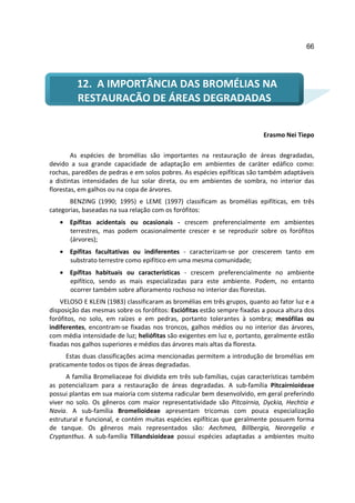 66




         12. A IMPORTÂNCIA DAS BROMÉLIAS NA
         RESTAURAÇÃO DE ÁREAS DEGRADADAS


                                                                          Erasmo Nei Tiepo

        As espécies de bromélias são importantes na restauração de áreas degradadas,
devido a sua grande capacidade de adaptação em ambientes de caráter edáfico como:
rochas, paredões de pedras e em solos pobres. As espécies epifíticas são também adaptáveis
a distintas intensidades de luz solar direta, ou em ambientes de sombra, no interior das
florestas, em galhos ou na copa de árvores.
       BENZING (1990; 1995) e LEME (1997) classificam as bromélias epifíticas, em três
categorias, baseadas na sua relação com os forófitos:
   • Epífitas acidentais ou ocasionais - crescem preferencialmente em ambientes
     terrestres, mas podem ocasionalmente crescer e se reproduzir sobre os forófitos
     (árvores);
   • Epífitas facultativas ou indiferentes - caracterizam-se por crescerem tanto em
     substrato terrestre como epifítico em uma mesma comunidade;
   • Epífitas habituais ou características - crescem preferencialmente no ambiente
     epifítico, sendo as mais especializadas para este ambiente. Podem, no entanto
     ocorrer também sobre afloramento rochoso no interior das florestas.
    VELOSO E KLEIN (1983) classificaram as bromélias em três grupos, quanto ao fator luz e a
disposição das mesmas sobre os forófitos: Esciófitas estão sempre fixadas a pouca altura dos
forófitos, no solo, em raízes e em pedras, portanto tolerantes à sombra; mesófilas ou
indiferentes, encontram-se fixadas nos troncos, galhos médios ou no interior das árvores,
com média intensidade de luz; heliófitas são exigentes em luz e, portanto, geralmente estão
fixadas nos galhos superiores e médios das árvores mais altas da floresta.
      Estas duas classificações acima mencionadas permitem a introdução de bromélias em
praticamente todos os tipos de áreas degradadas.
      A família Bromeliaceae foi dividida em três sub-famílias, cujas características também
as potencializam para a restauração de áreas degradadas. A sub-família Pitcairnioideae
possui plantas em sua maioria com sistema radicular bem desenvolvido, em geral preferindo
viver no solo. Os gêneros com maior representatividade são Pitcairnia, Dyckia, Hechtia e
Navia. A sub-família Bromelioideae apresentam tricomas com pouca especialização
estrutural e funcional, e contém muitas espécies epifíticas que geralmente possuem forma
de tanque. Os gêneros mais representados são: Aechmea, Billbergia, Neoregelia e
Cryptanthus. A sub-família Tillandsioideae possui espécies adaptadas a ambientes muito
 