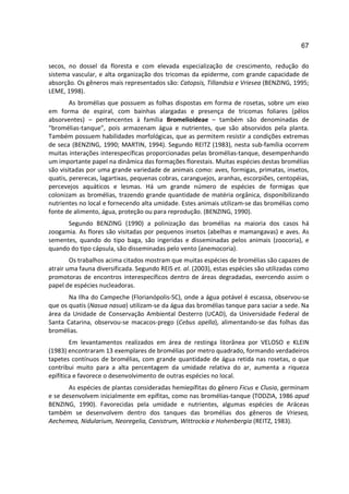 67

secos, no dossel da floresta e com elevada especialização de crescimento, redução do
sistema vascular, e alta organização dos tricomas da epiderme, com grande capacidade de
absorção. Os gêneros mais representados são: Catopsis, Tillandsia e Vriesea (BENZING, 1995;
LEME, 1998).
        As bromélias que possuem as folhas dispostas em forma de rosetas, sobre um eixo
em forma de espiral, com bainhas alargadas e presença de tricomas foliares (pêlos
absorventes) – pertencentes à família Bromelioideae – também são denominadas de
“bromélias-tanque”, pois armazenam água e nutrientes, que são absorvidos pela planta.
Também possuem habilidades morfológicas, que as permitem resistir a condições extremas
de seca (BENZING, 1990; MARTIN, 1994). Segundo REITZ (1983), nesta sub-família ocorrem
muitas interações interespecíficas proporcionadas pelas bromélias-tanque, desempenhando
um importante papel na dinâmica das formações florestais. Muitas espécies destas bromélias
são visitadas por uma grande variedade de animais como: aves, formigas, primatas, insetos,
quatis, pererecas, lagartixas, pequenas cobras, caranguejos, aranhas, escorpiões, centopéias,
percevejos aquáticos e lesmas. Há um grande número de espécies de formigas que
colonizam as bromélias, trazendo grande quantidade de matéria orgânica, disponibilizando
nutrientes no local e fornecendo alta umidade. Estes animais utilizam-se das bromélias como
fonte de alimento, água, proteção ou para reprodução. (BENZING, 1990).
      Segundo BENZING (1990) a polinização das bromélias na maioria dos casos há
zoogamia. As flores são visitadas por pequenos insetos (abelhas e mamangavas) e aves. As
sementes, quando do tipo baga, são ingeridas e disseminadas pelos animais (zoocoria), e
quando do tipo cápsula, são disseminadas pelo vento (anemocoria).
        Os trabalhos acima citados mostram que muitas espécies de bromélias são capazes de
atrair uma fauna diversificada. Segundo REIS et. al. (2003), estas espécies são utilizadas como
promotoras de encontros interespecíficos dentro de áreas degradadas, exercendo assim o
papel de espécies nucleadoras.
       Na Ilha do Campeche (Florianópolis-SC), onde a água potável é escassa, observou-se
que os quatis (Nasua nasua) utilizam-se da água das bromélias tanque para saciar a sede. Na
área da Unidade de Conservação Ambiental Desterro (UCAD), da Universidade Federal de
Santa Catarina, observou-se macacos-prego (Cebus apella), alimentando-se das folhas das
bromélias.
        Em levantamentos realizados em área de restinga litorânea por VELOSO e KLEIN
(1983) encontraram 13 exemplares de bromélias por metro quadrado, formando verdadeiros
tapetes contínuos de bromélias, com grande quantidade de água retida nas rosetas, o que
contribui muito para a alta percentagem da umidade relativa do ar, aumenta a riqueza
epifítica e favorece o desenvolvimento de outras espécies no local.
       As espécies de plantas consideradas hemiepífitas do gênero Ficus e Clusia, germinam
e se desenvolvem inicialmente em epífitas, como nas bromélias-tanque (TODZIA, 1986 apud
BENZING, 1990). Favorecidas pela umidade e nutrientes, algumas espécies de Aráceas
também se desenvolvem dentro dos tanques das bromélias dos gêneros de Vriesea,
Aechemea, Nidularium, Neoregelia, Canistrum, Wittrockia e Hohenbergia (REITZ, 1983).
 