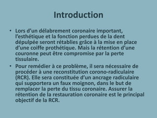 Introduction
• Lors d’un délabrement coronaire important,
l’esthétique et la fonction perdues de la dent
dépulpée seront rétablies grâce à la mise en place
d’une coiffe prothétique. Mais la rétention d’une
couronne peut être compromise par la perte
tissulaire.
• Pour remédier à ce problème, il sera nécessaire de
procéder à une reconstitution corono-radiculaire
(RCR). Elle sera constituée d’un ancrage radiculaire
qui supportera un faux moignon, dans le but de
remplacer la perte du tissu coronaire. Assurer la
rétention de la restauration coronaire est le principal
objectif de la RCR.
 