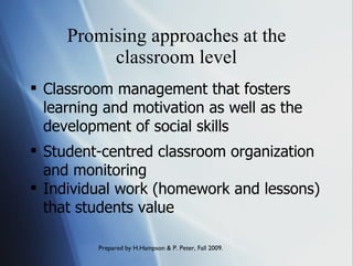 Promising approaches at the classroom level Classroom management that fosters learning and motivation as well as the development of social skills Student-centred classroom organization and monitoring  Individual work (homework and lessons) that students value 