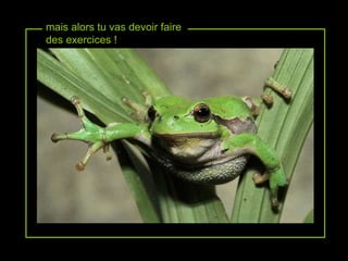 mais alors tu vas devoir faire des exercices ! 