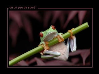 ou un peu de sport ! 