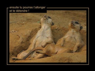 ensuite tu pourras t‘allonger et te détendre ! 