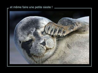 et même faire une petite sieste ! 