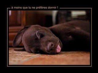 à moins que tu ne préfères dormir ! 