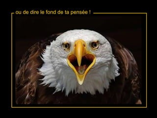 ou de dire le fond de ta pensée ! 