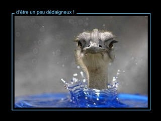 d‘être un peu dédaigneux ! 
