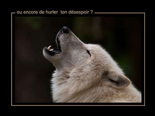 ou encore de hurler  ton désespoir ? 