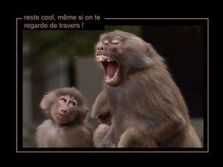 reste cool, même si on te regarde de travers ! 