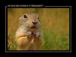 ne sois pas anxieux ni désespéré ! 