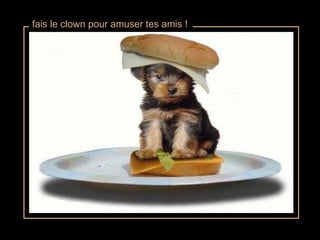 fais le clown pour amuser tes amis ! 