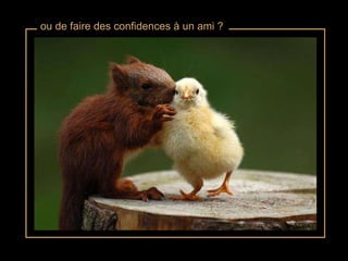 ou de faire des confidences à un ami ? 