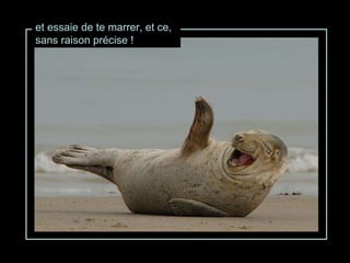 et essaie de te marrer, et ce, sans raison précise ! 