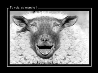 Tu vois, ça marche ! 