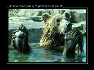 il ne te reste plus qu‘à profiter de la vie !!! 