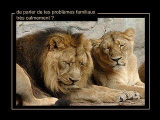 de parler de tes problèmes familiaux très calmement ? 