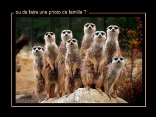 ou de faire une photo de famille ? 