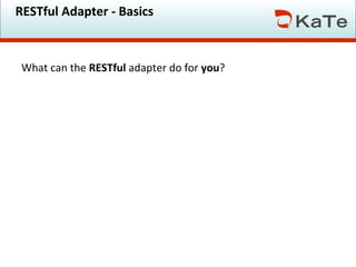 RESTful Adapter - Basics

What can the RESTful adapter do for you?

 