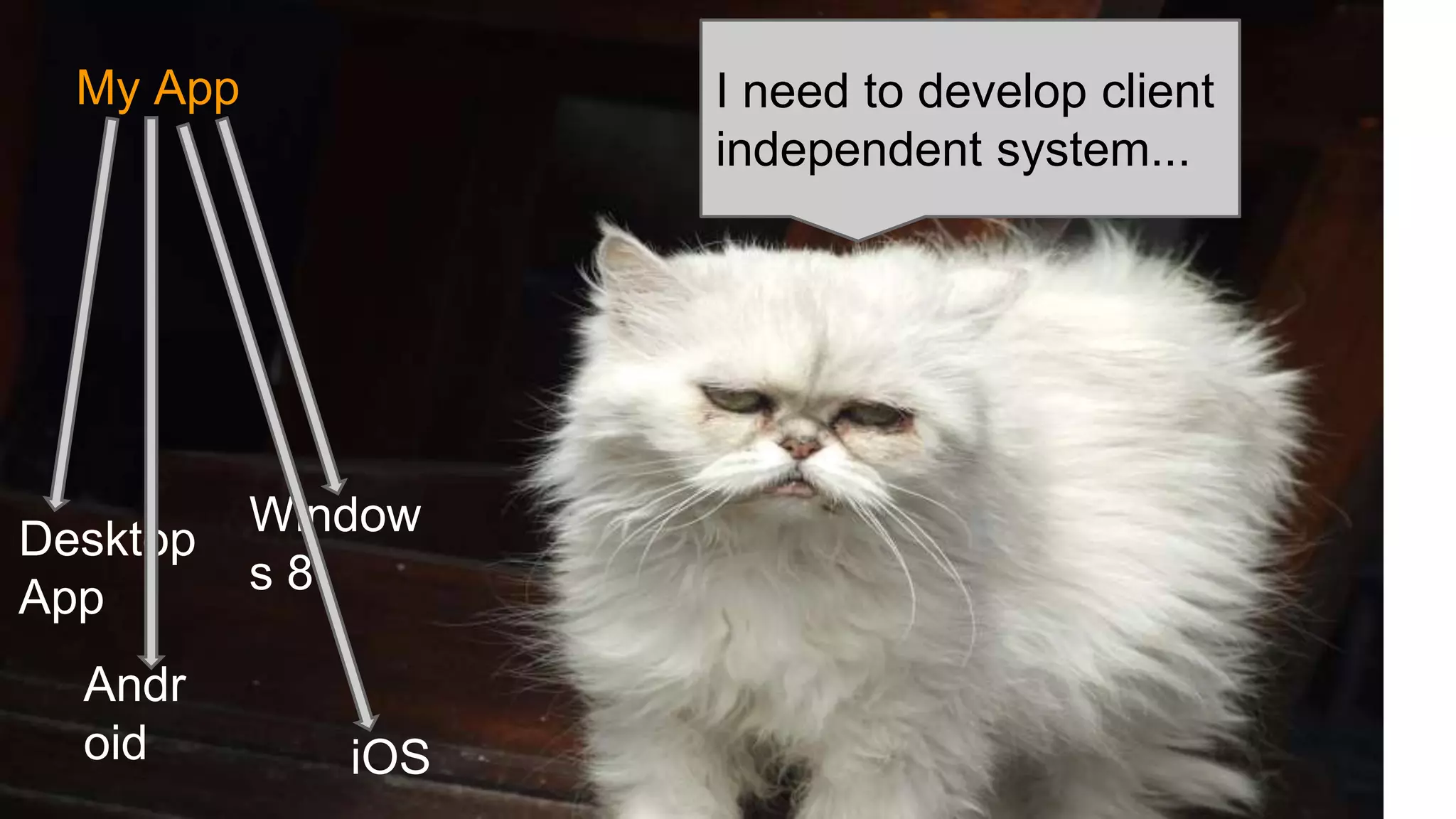 My App I need to develop client Andr oid Window s 8 iOS Desktop App independent system... 